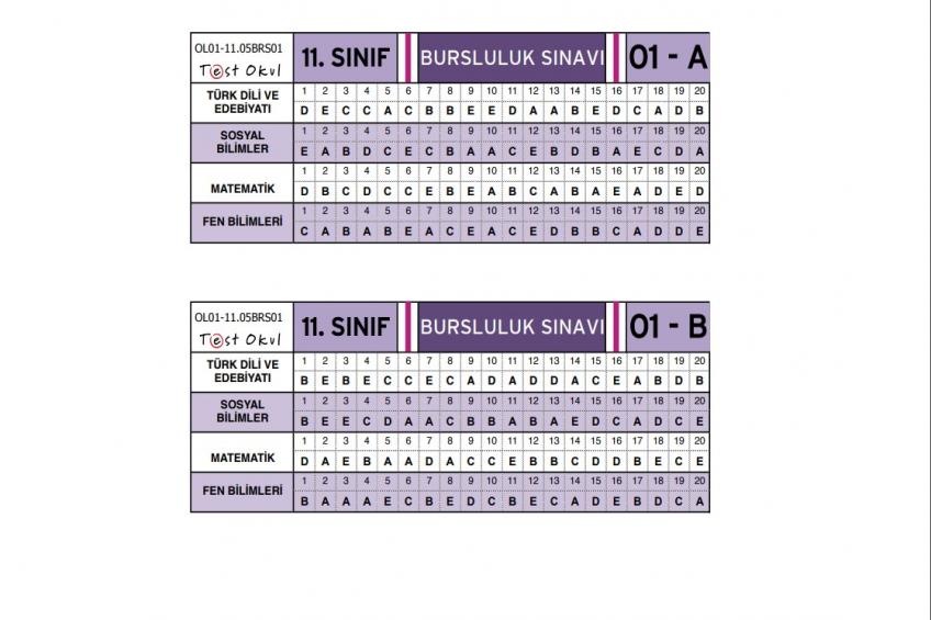 11. Sınıf 2021 Bursluluk Sınavı Cevap Anahtarı