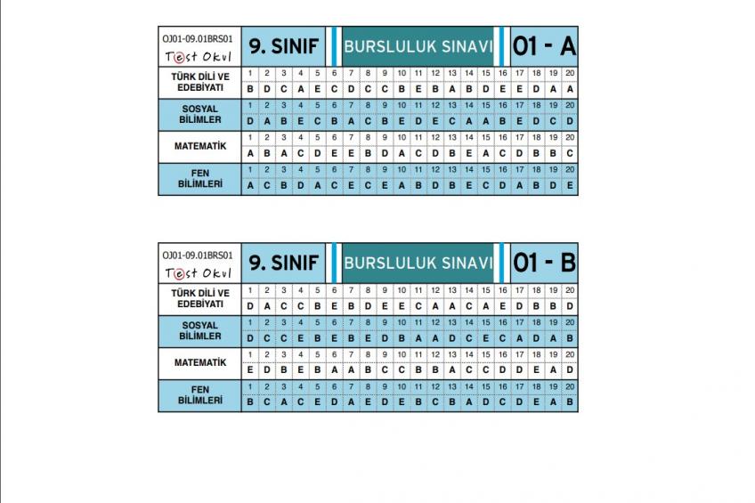 9. Sınıf 2021 Bursluluk Sınavı Cevap Anahtarı