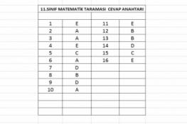 11.SINIF MATEMATİK TARAMASI CEVAP ANAHTARI (03.06.2026)